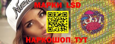 индика Можайск