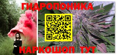 ECSTASY Моздок