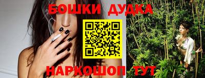 индика Можайск