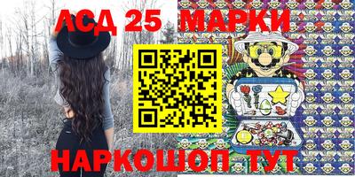 индика Можайск