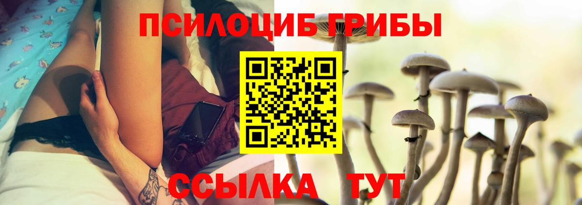 наркотики  Галлюциногенные грибы Psilocybine cubensis  Вход с VPN  Галлюциногенные грибы Cubensis  Алейск 